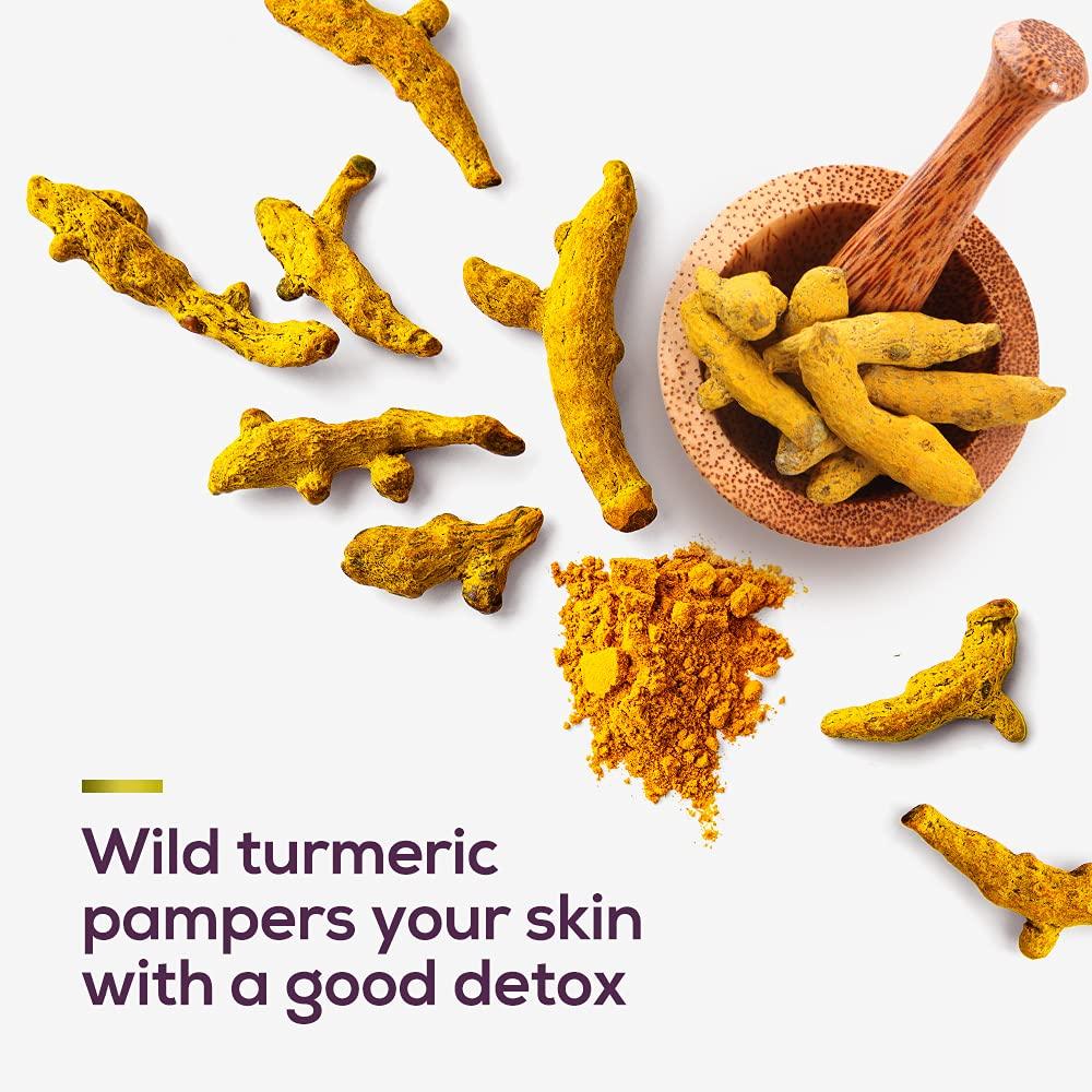 Santoor Glowing Skin Body Wash, angereichert mit Sandelholzextrakten und wildem Kurkuma, seifenfrei, parabenfrei, pH-ausgeglichenes Duschgel, 230 ml