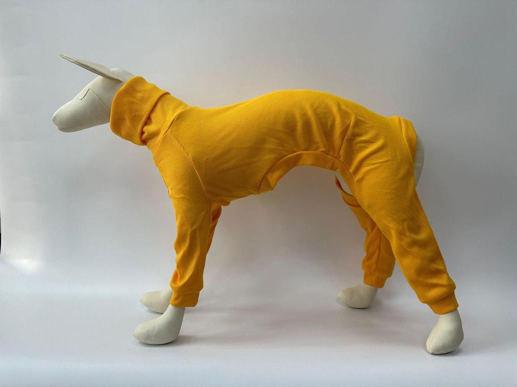 European & American Solid Color High-Neck Slim Fit Ribbed Dog Clothes for Autumn & Winter.
