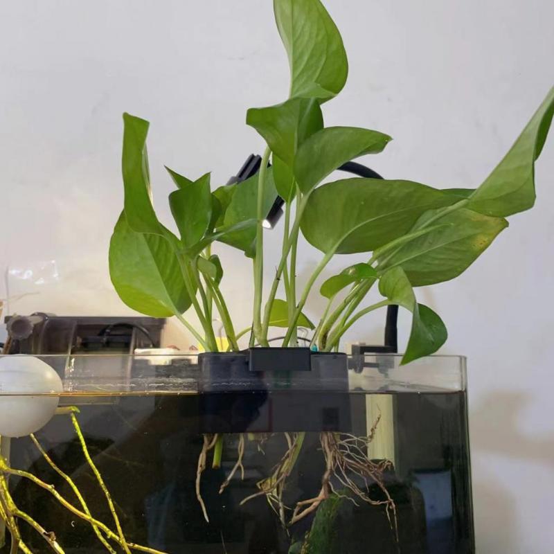 1/2/3Pcs Aquarium Plant Support Basket Plant Cultivation Rack With Integrated Hook Decor Rack Fish Tank Potted Aquarium Shelf