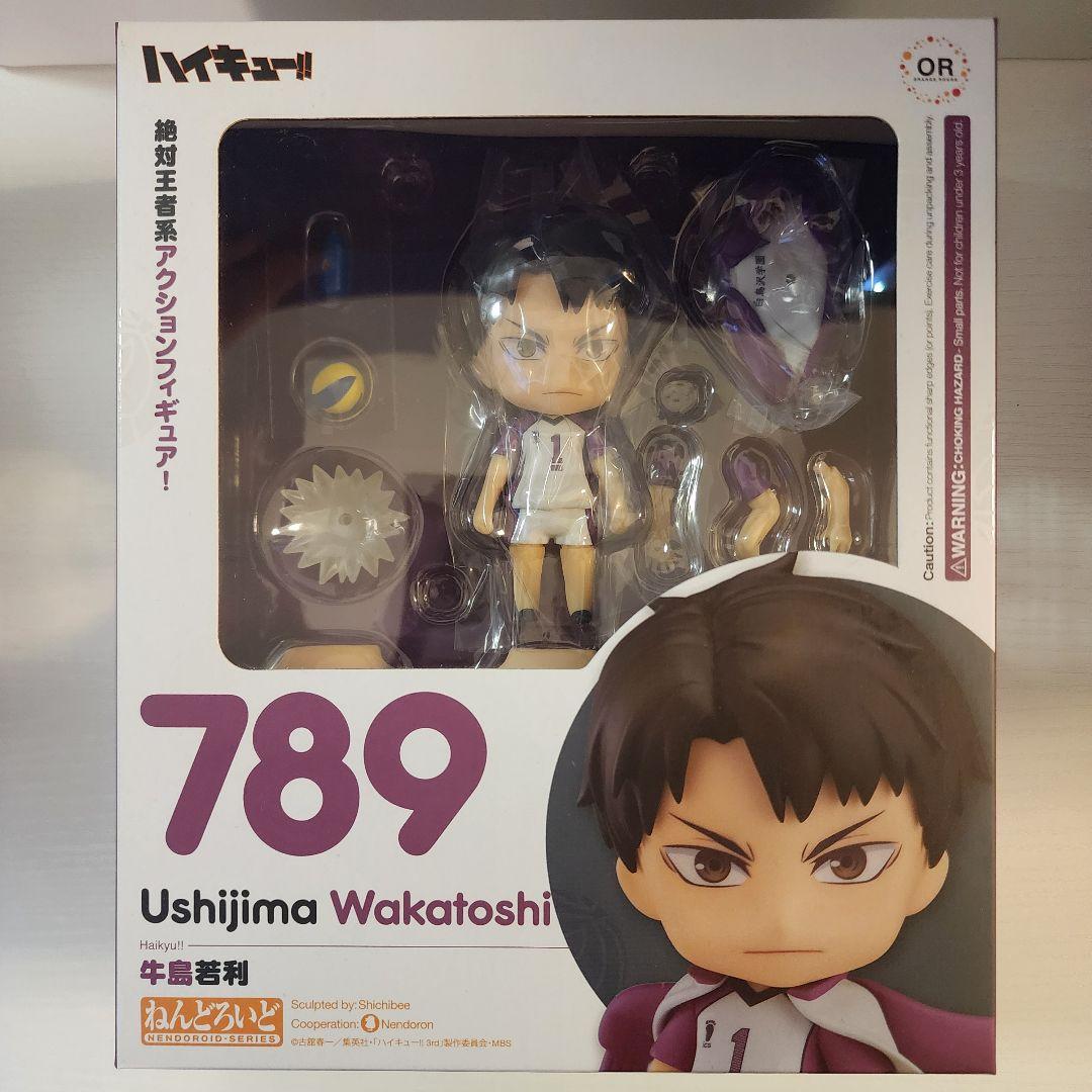 

[USED] Nendoroid 789 Haikyu!! Ushijima Wakatoshi