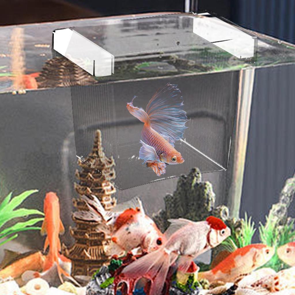 Fish Breeder Box For Aquarium Baby Fish Separator For Aquarium Divider Nursery Safe Acclimation Egg Guppy Shrimp Betta Fry