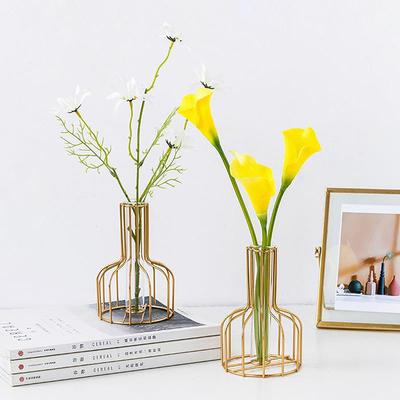1 Peça de Vaso Vazado de Ferro Cor Sólida, Recipiente Transparente para Arranjo de Flores Artificiais Secas para Sala de Estar de Casa
