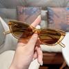 European Ins Style Cat Eye Small Frame Sunglasses Unisex UV Protection High Appearance Fashion Streetwear Celebrity Trendy Sun Glasses Shades