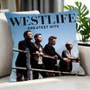 Pop Westlife Cushion Cover Cushion Cover Set 4Pcs 50X50 45X45 40X40 Pillowcase Decorative Sofa Home Decor
