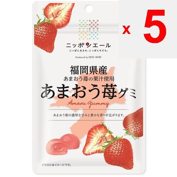 JA Nippon Ale Fukuoka Amao Strawberry Gummi 40gNippon Ale Brand with the Catchphrase Nippon-born, N Nippon Ale Brand with the Catchphrase Nippon-born,