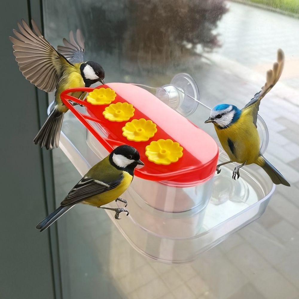 Visible Bird Water Drinker Refillable Hummingbird Water Dispenser Bird Water Station  Window