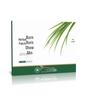 Ranran Herbal Mugwort Slimming Patch for Abdomen and Waist
