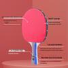 PEAK 1-Star T1 Table Tennis Racket