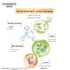 CHANDO Light Gauze Multi-Dimensional Sunscreen
