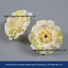 Champagne Silk Imitation Flowers for Hairpins, Hanfu Headdresses, Souvenirs, and Performance Accessories.