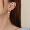 Long Zircon Tassel Maple Leaf Earrings With A High-end Feel, Light Luxury Earrings