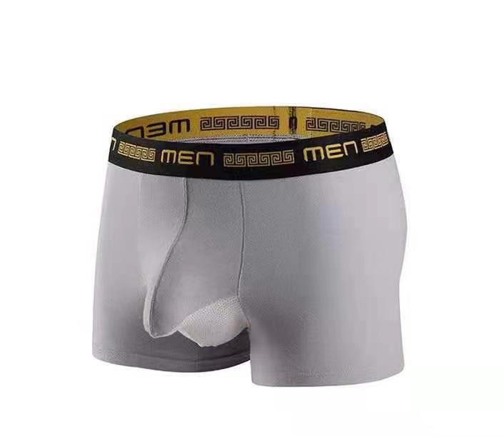 Men's Breathable Mesh Oversized High Elasticity Mid Waist Youth Sexy Underwear