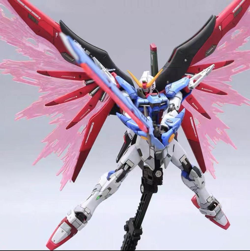 HG Strike Freedom Unicorn Red Astray Gundam Model Building Kit