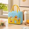 Lunch Bag with Design, Portable Lunch for Work, School and Outdoor Picnic
