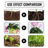Plant And Flower Activating Liquid Solution Improves Plant Health Promote Root Development Plant Nutrient Solution