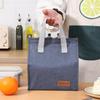 Double Handle Insulated Lunch Bag—Portable, Large Capacity for Students & Office Workers