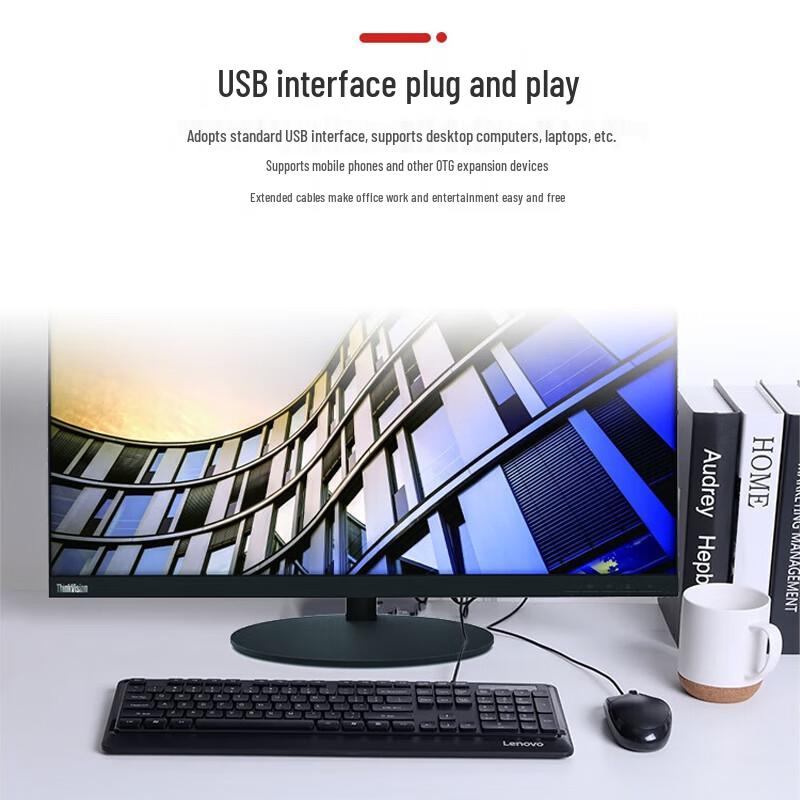 Lenovo KM102 Wired Keyboard and Mouse Combo