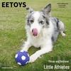Cães – Brinquedos para cães