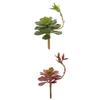 Simulation Succulent Plant Plastic Flowers Decoration 3D Potted Bonsai Ornaments
