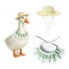 Entryway Geese Display Outfit Set With Matched Hat and Patterned Collar for Country Porch Styling and Shelf Accent