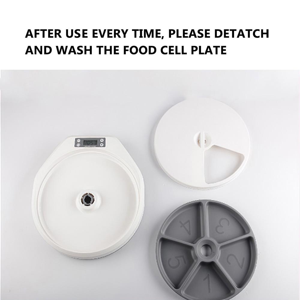 Buy Pawise Automatic Pet Feeder Timing Feeder 5 Meal 5 Cell Pet Dry Food Dispenser Dish Feed 24