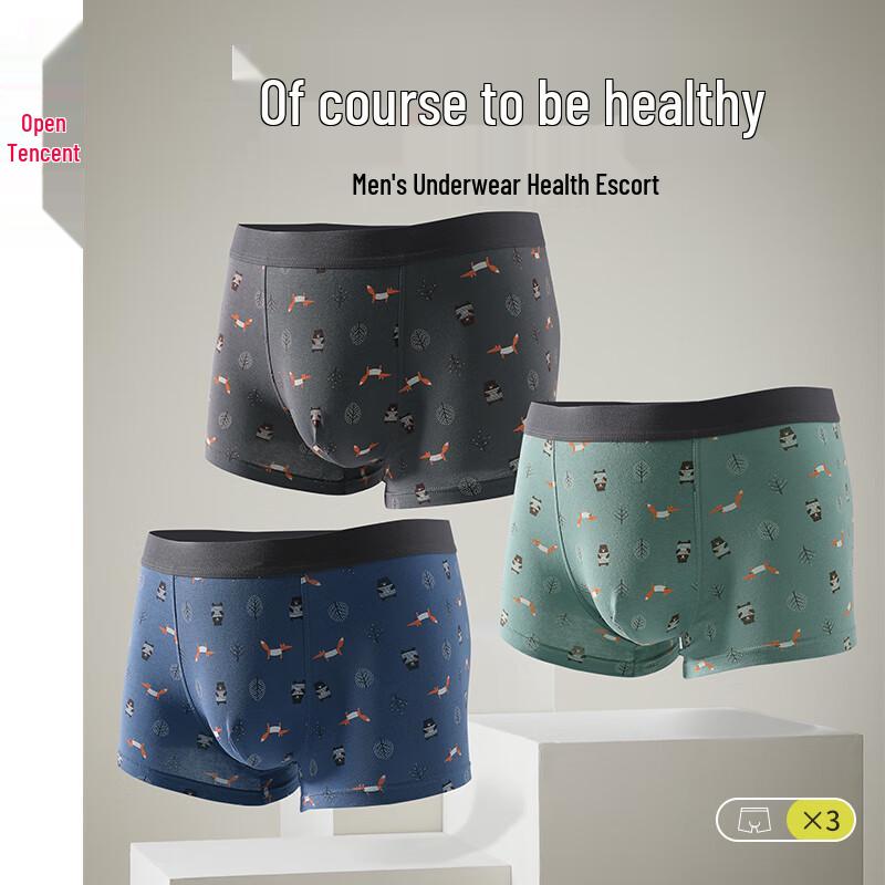 

Мужские дышащие хлопковые боксеры-брифы Fenteng 4XL