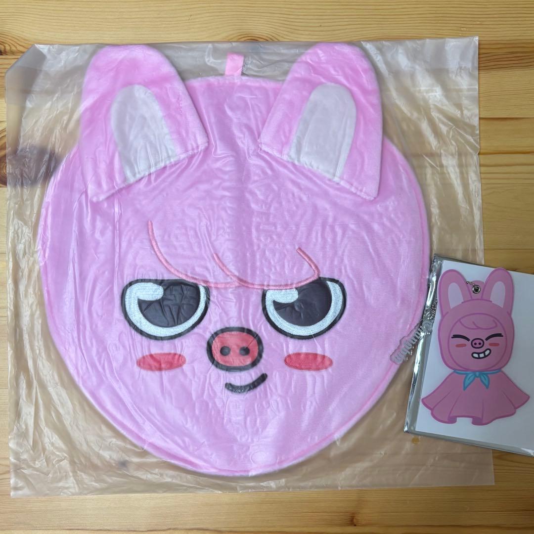 

[USED] Stray Kids SKZOO Toekki Fan Case