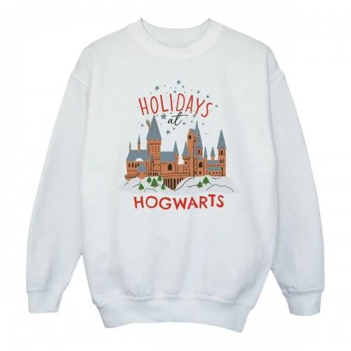 Harry Potter Mens Holidays At Hogwarts Sweatshirt