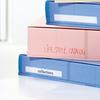Plus Flat File, A4 Vertical, 2-Hole, Expandable Spine, Senobas EX, 5-Pack, Blue