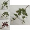 Faux Eucalyptus Money Leaf Stems For Photography Props And Event Decor
