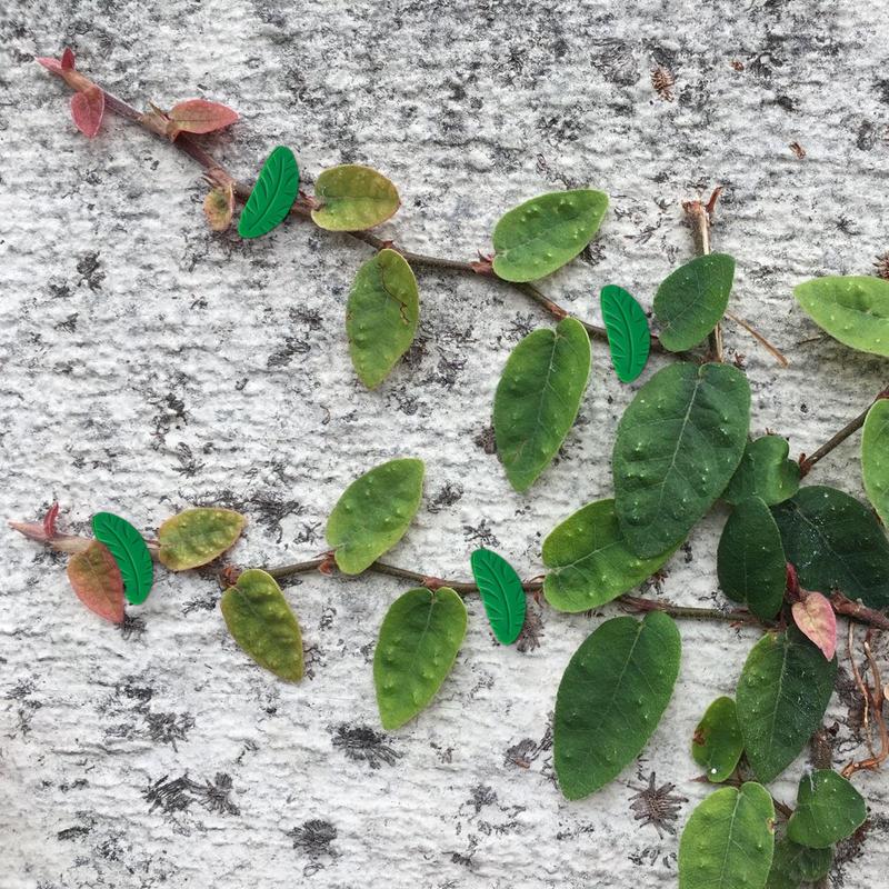 Vine Clips 8 PCS Garden Stake Clips Invisible Self Adhesive Leaf Shape Plant Vine Traction Sticker For Climbing Plant Fixing