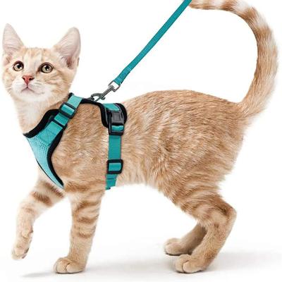 Pettorina e Guinzaglio per Gatti per Passeggiate, Pettorine Morbide Regolabili a Prova di Fuga per Gatti, EasyControl