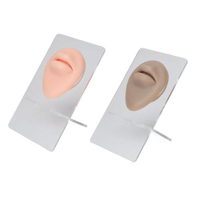2 Stück Silikon Lippenmodell mit Ausstellungsständer Simuliertes 3D Verdicktes Lippenpiercing Übungsmodell