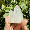 Natural Random Shapes for Home Decor Crafting and Collection