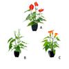 Home Artificial Flower Bonsai Indoor Outdoor Simulation Flowers Plant Living Room Courtyard Patio Decoration