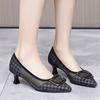 Fashion Women High Heels Pumps Pointed Toe Shallow Heels Women Chunky Heels Slip-on Office Work Shoes Women Fashion Mesh Designer Shoes