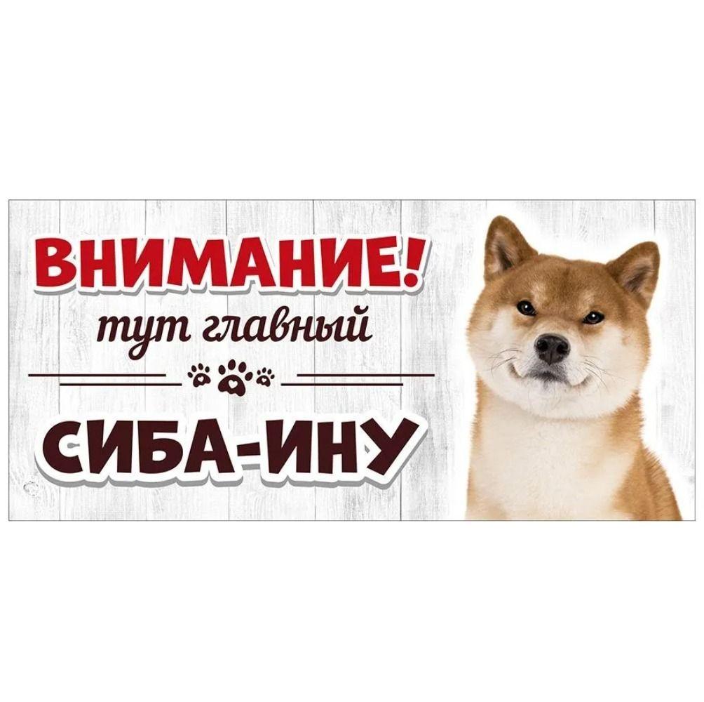 Evil Pomeranian Spitz Sign, Metal Fence Door Plaque 30x15cm