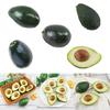 Simulation Foams Avocado Realistic Fruit for Kitchen Parties Decorations