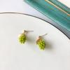 1 Pair Ear Studs Grape Japan Korean Style Jewelry Green Fruit Stud Earrings Jewelry