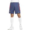 Nike SS23 Logo Men's DJ8596-410
