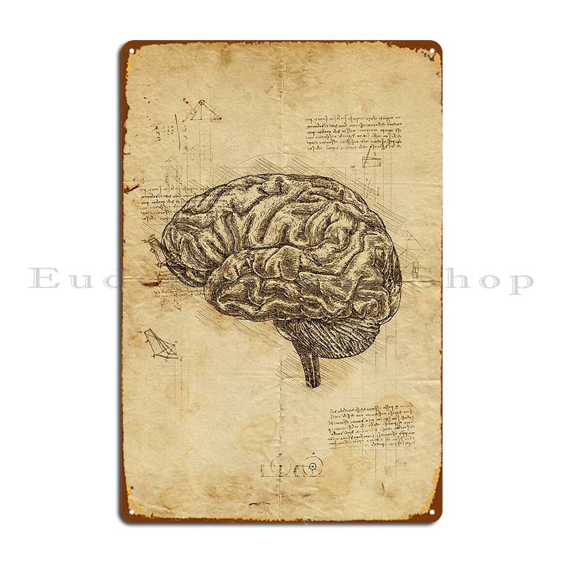 

Human Brain Anatomy Anatomical Brain On Leonardo Da Vinci Sketches Metal Plaque Poster Garage Printing Wall Cave Tin Sign Poster 20x30cm