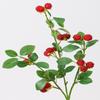 Realistic Artificial Raspberry Branch Plastic Decorative Simulation Flower Long Branches Fruits Blueberry Flowers
