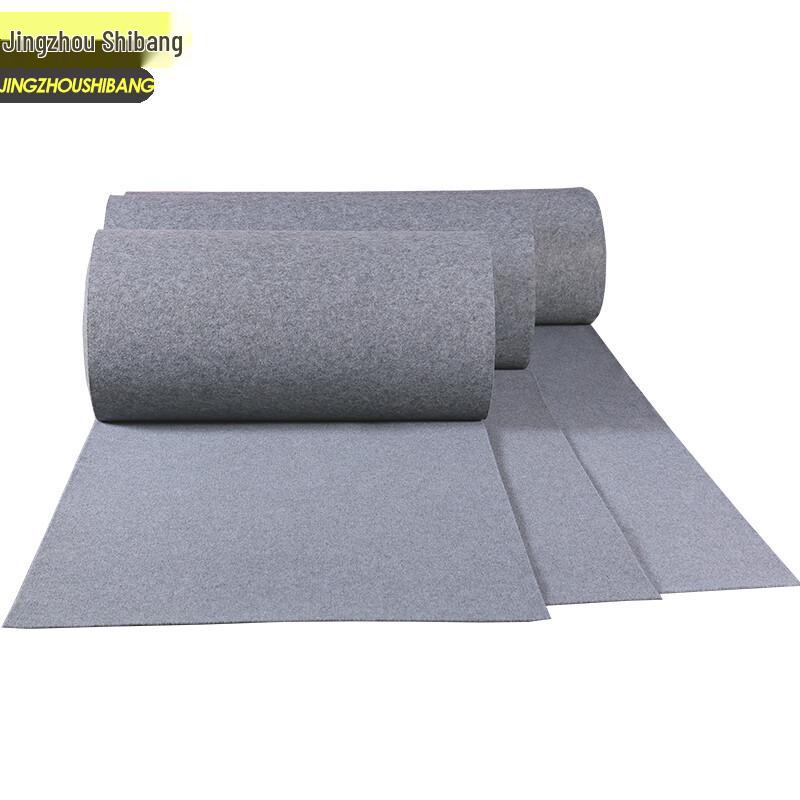 Jingzhou Shibang Thickened Anti-Slip Brushed Carpet 2*10m