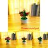 Fake Narcissus Flower Pot With Injection Molding For Interior Decoration