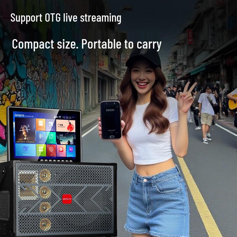 AIWA AI280 Portable KTV Speaker System