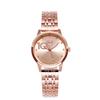 Women'S Temperament Diamond-Encrusted Wrist Watch Fashion Steel Belt Women'S Quartz Watch Casual Waterproof Women'S Watch