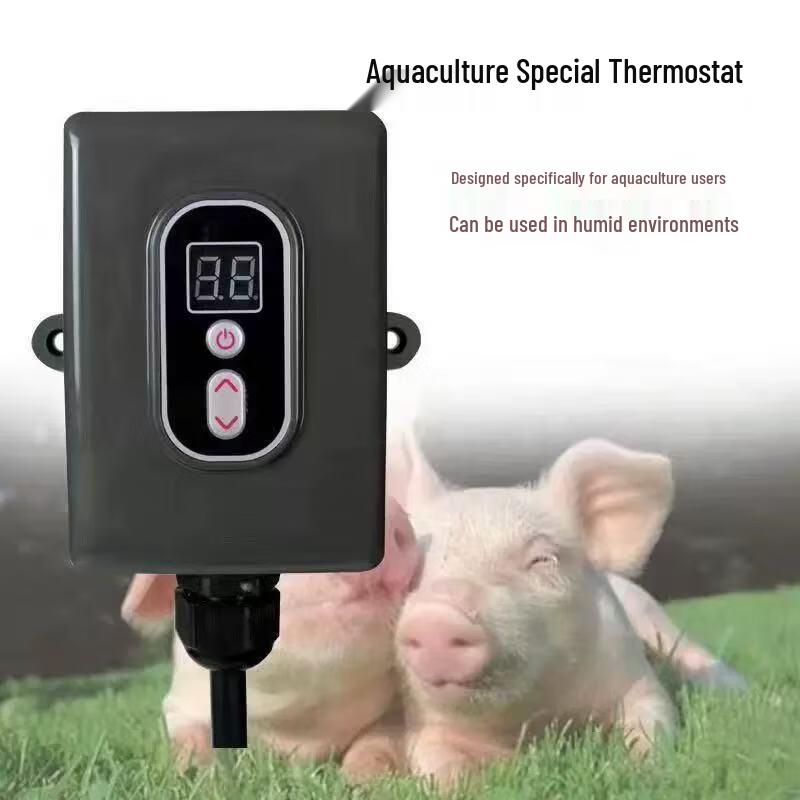 XINWDE 2000W Heating Plate Temperature Controller