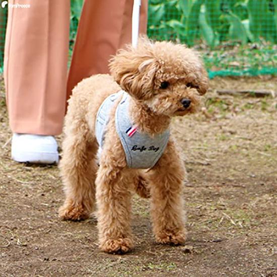 For slip easy to put on and take with safety antibacterial and deodorizing Super Harness and Lead Tricolor Neo For active timid dogs with weak trachea