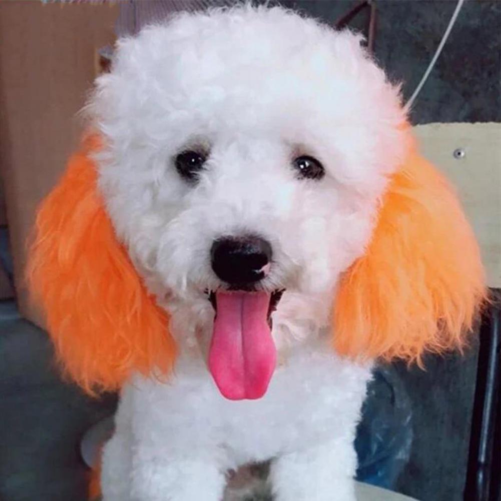 100ml Crème Colorante pour Animaux Longue Durée Coloration Cheveux Chien Non Irritante Extraits Naturels Colorant Cheveux Chat Chien Accessoires pour Animaux