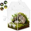 Reptile – Terarii pentru reptile